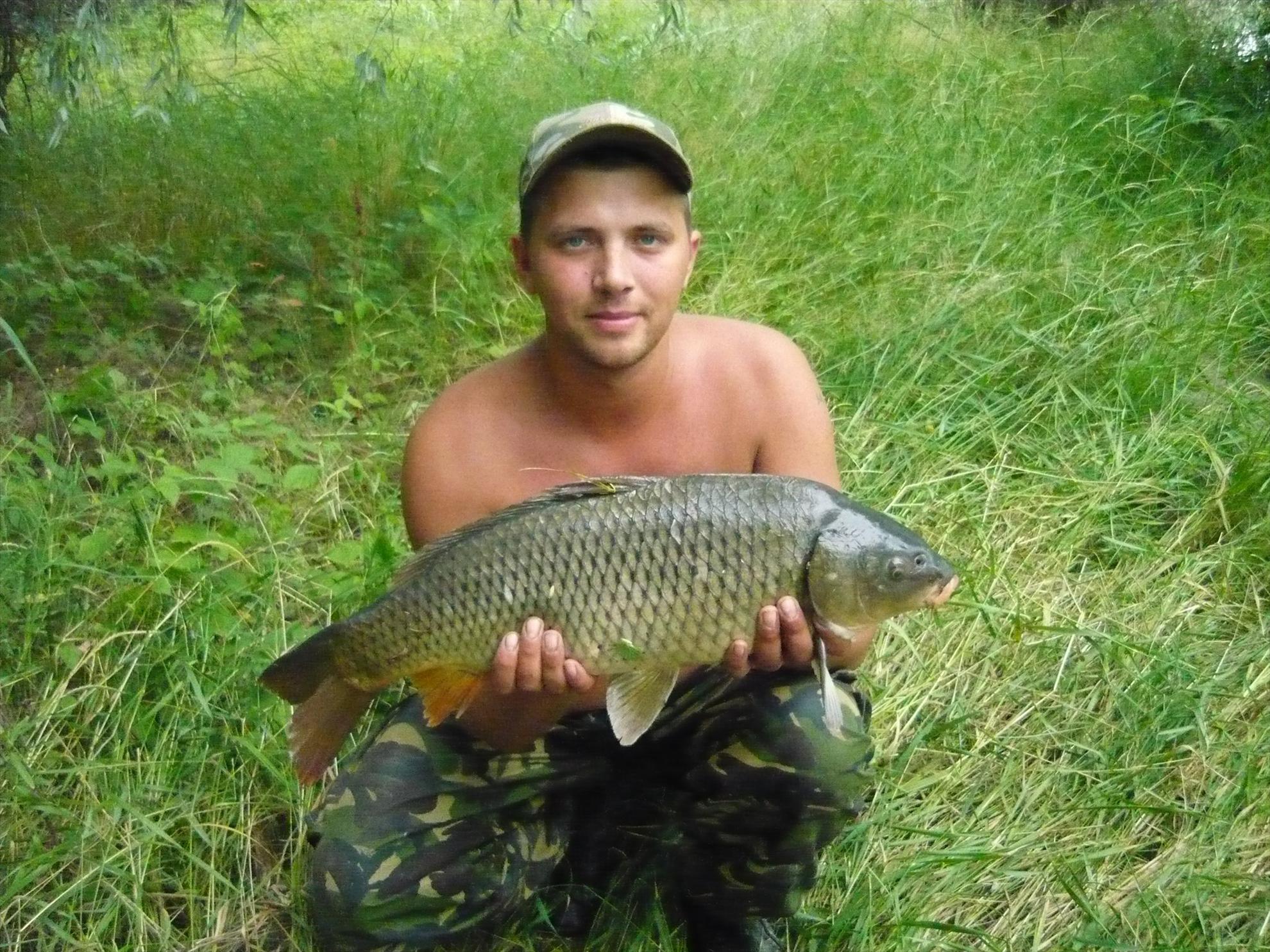 2013 - 1709231086369092135177302056o.jpg